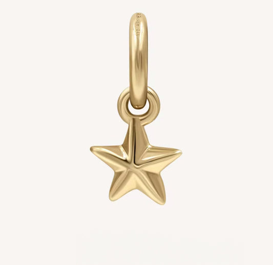 Luv Life Charm Collection | Star Charm